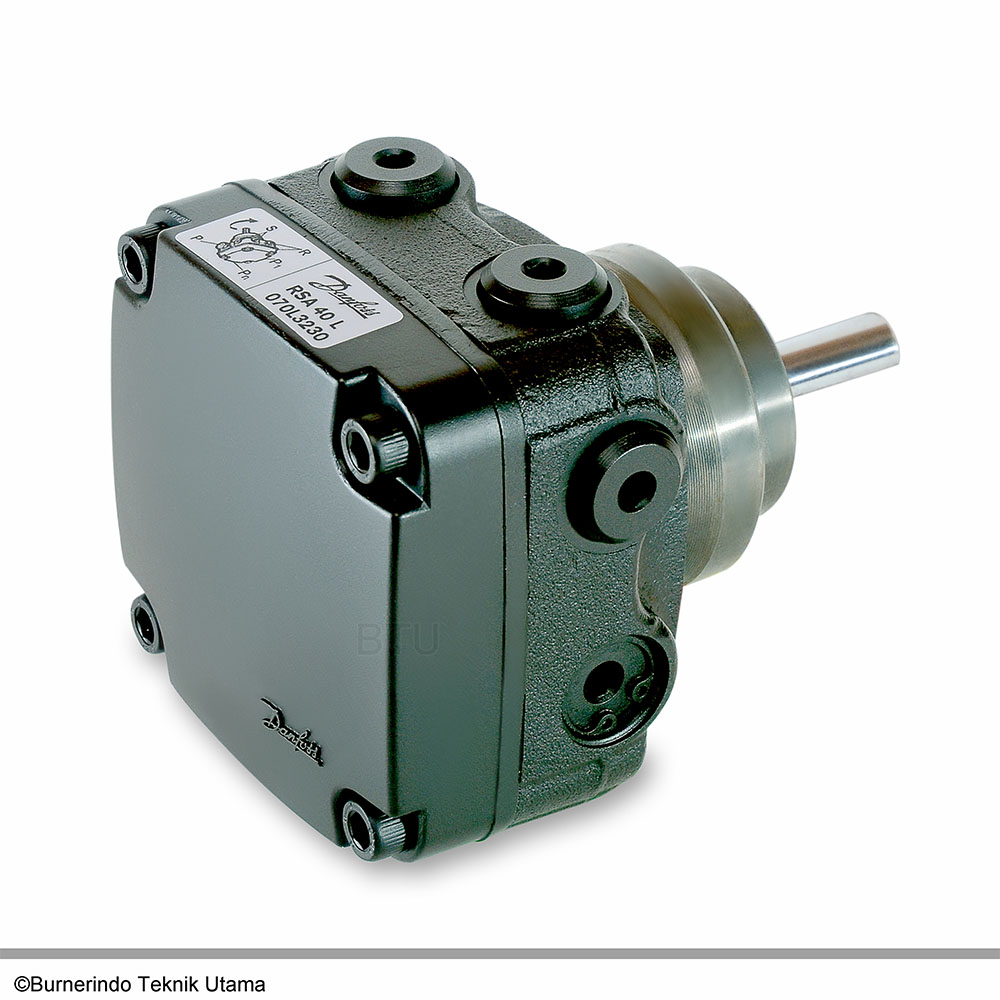 RSA 40.070L3230