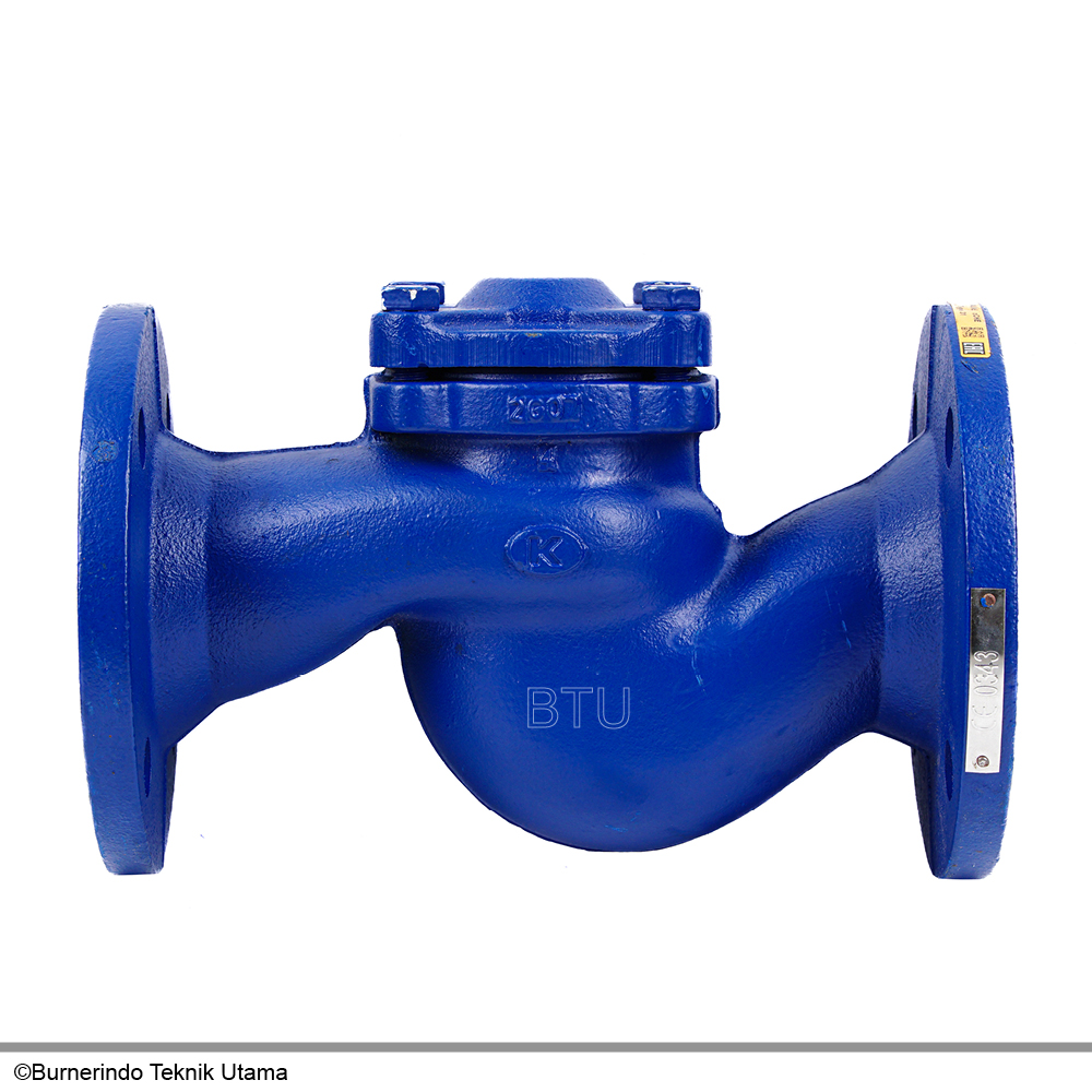 Check Valve DN 65 PN 16 - WA287A065C31D001